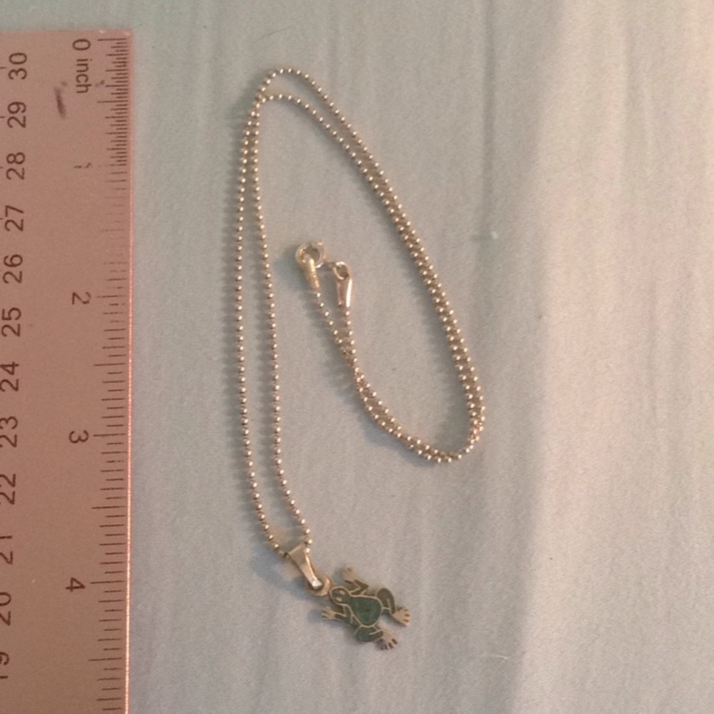 Sterling silver chain and frog pendant
